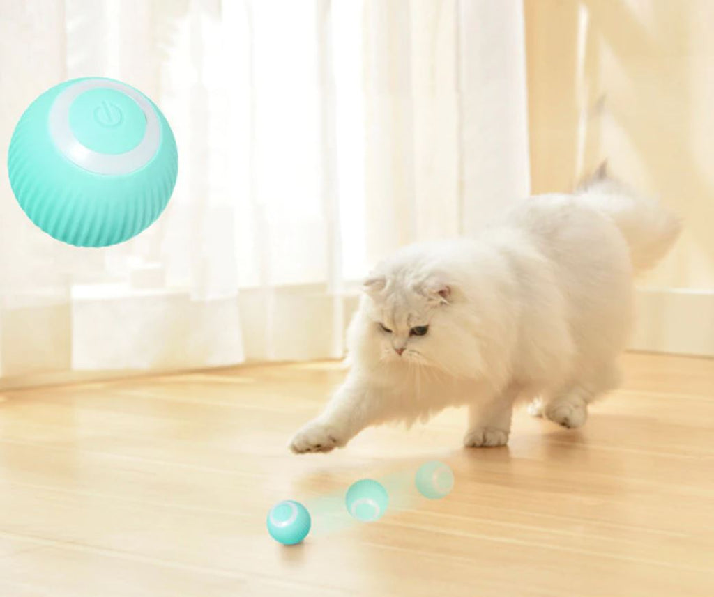 Interactive Self-Rolling Pet Ball for Cats and Puppies with LED Light USB Rechargeable Obstacle Sensor Automatic