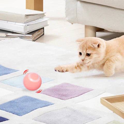 Interactive Self-Rolling Pet Ball for Cats and Puppies with LED Light USB Rechargeable Obstacle Sensor Automatic