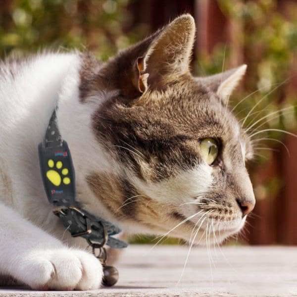 GPS Tracker for Cats with Location Tracking Lightweight Design for Collar Attachment and Rechargeable Battery