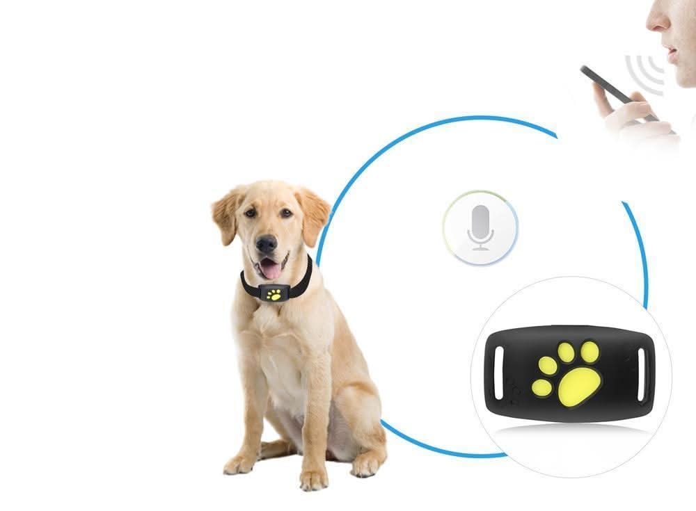 GPS Tracker for Cats with Location Tracking Lightweight Design for Collar Attachment and Rechargeable Battery