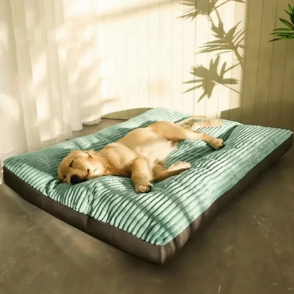 Dog Bed with Soft Padding and Supportive Core for Puppies, Adult Dogs, and Senior Dogs - Cuddly Sleeping Place