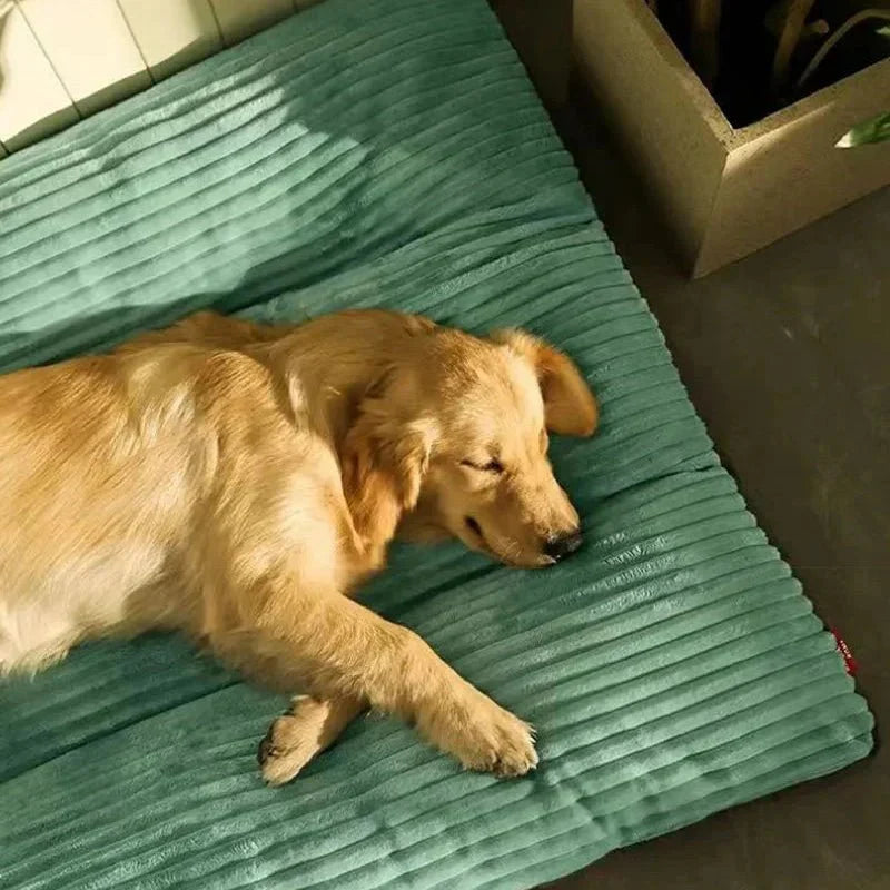 Dog Bed with Soft Padding and Supportive Core for Puppies, Adult Dogs, and Senior Dogs - Cuddly Sleeping Place