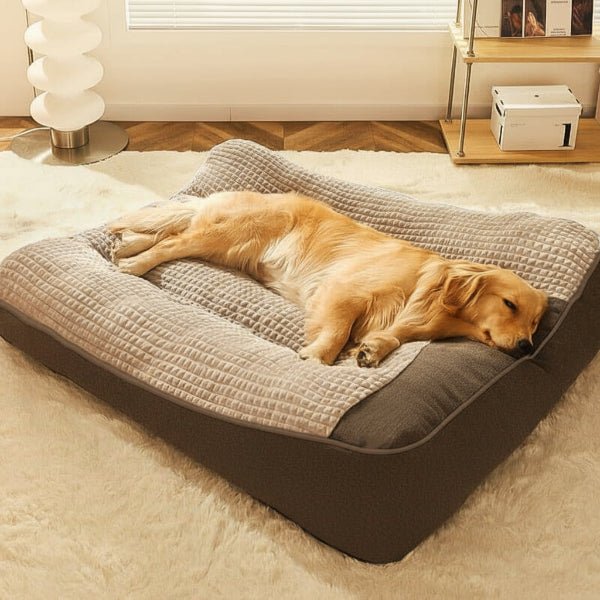 Orthopedic Dog Bed Large with Raised Headrest Scratch-Resistant Removable Cover for Large Breeds Crystal Velvet Surface