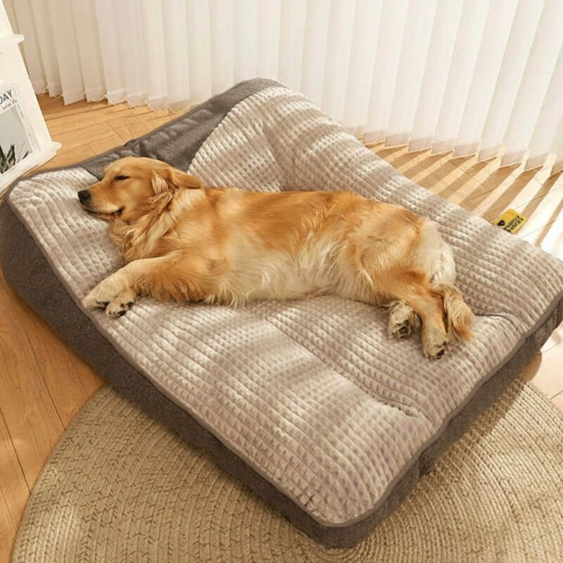 Orthopedic Dog Bed Large with Raised Headrest Scratch-Resistant Removable Cover for Large Breeds Crystal Velvet Surface