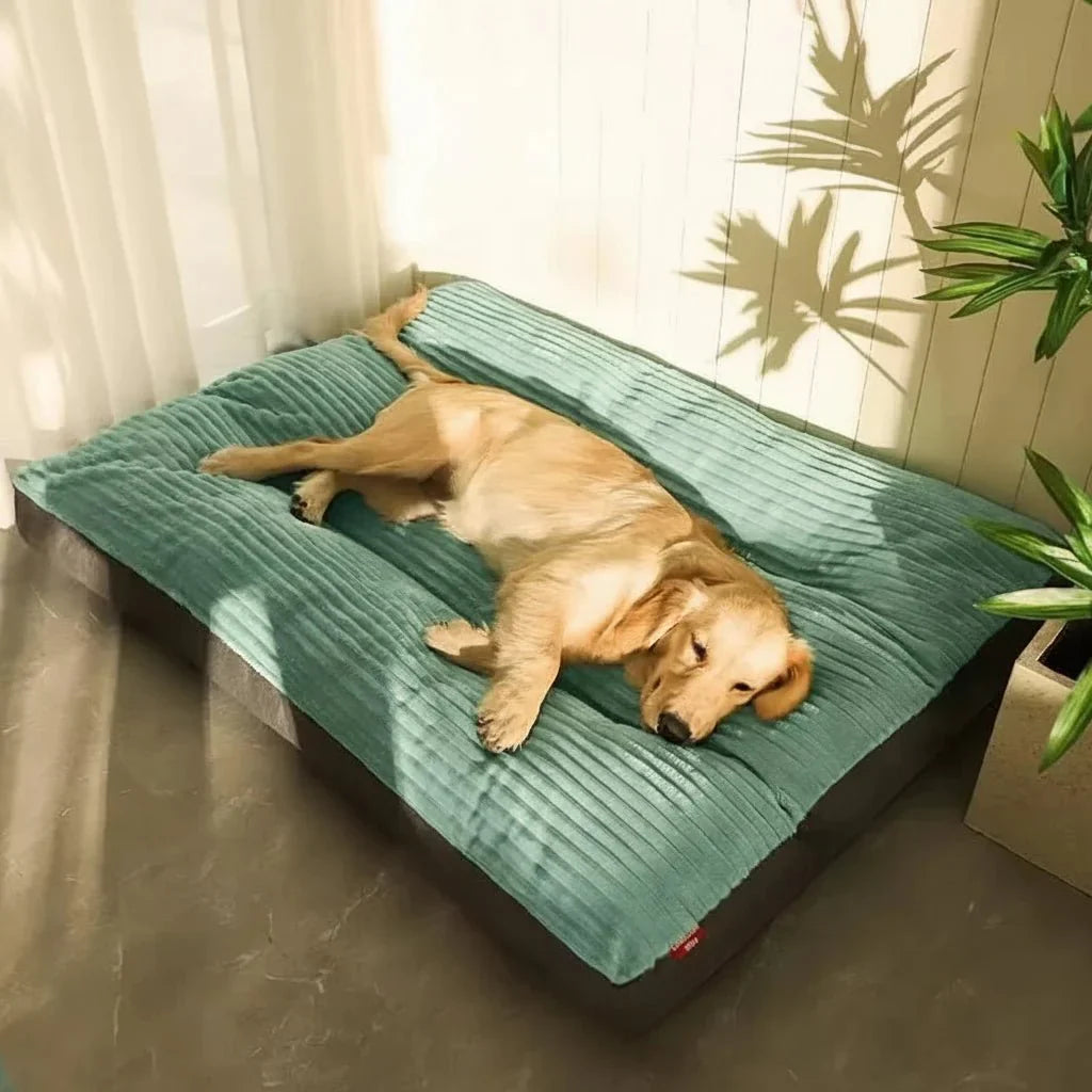 Dog Bed with Soft Padding and Supportive Core for Puppies, Adult Dogs, and Senior Dogs - Cuddly Sleeping Place
