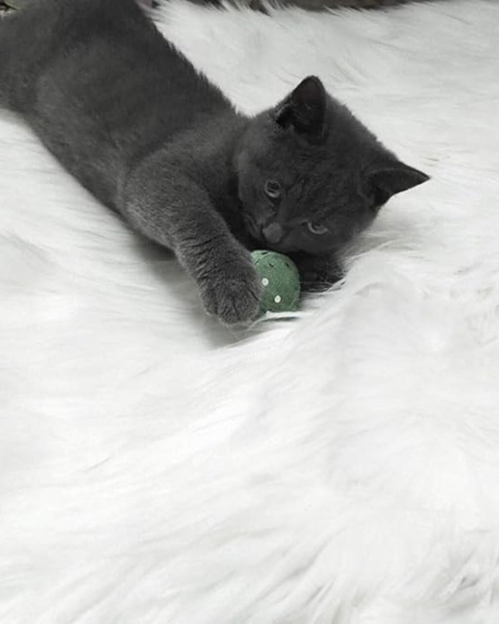 Veloura Teppich – Samtig-Weicher Luxus für Ihr Zuhause