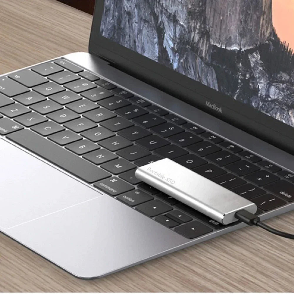 Externe SSD 4TB mit USB - C 3.1 Anschluss Aluminium - Gehäuse und Plug - and - Play für PC Mac und Android - Bolania