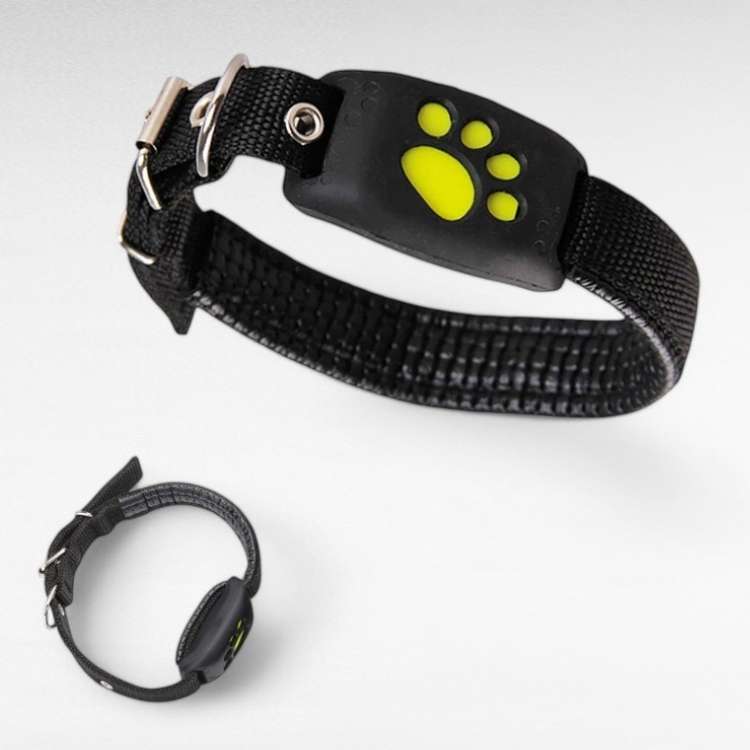 GPS Tracker for Dogs on Collar with App Location Tracking, Safety Zones, Water-Resistant IP67, Adjustable Collar