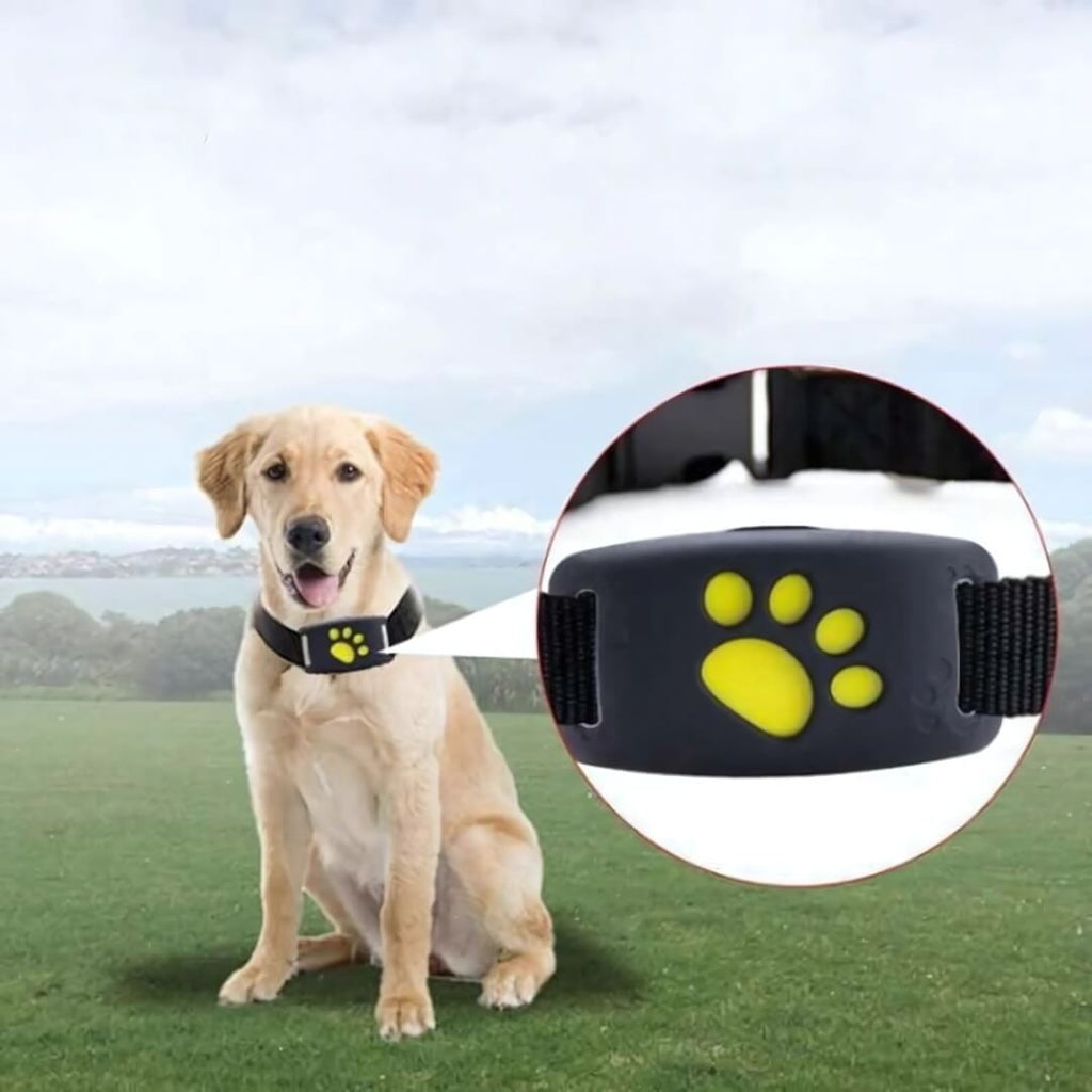 GPS Tracker for Dogs on Collar with App Location Tracking, Safety Zones, Water-Resistant IP67, Adjustable Collar