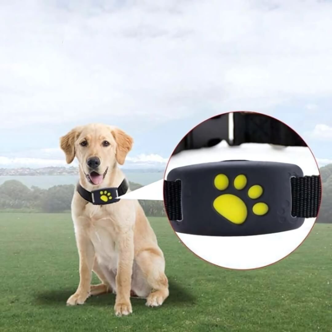 GPS Tracker for Dogs on Collar with App Location Tracking, Safety Zones, Water-Resistant IP67, Adjustable Collar