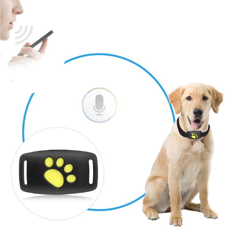 GPS Tracker for Dogs on Collar with App Location Tracking, Safety Zones, Water-Resistant IP67, Adjustable Collar