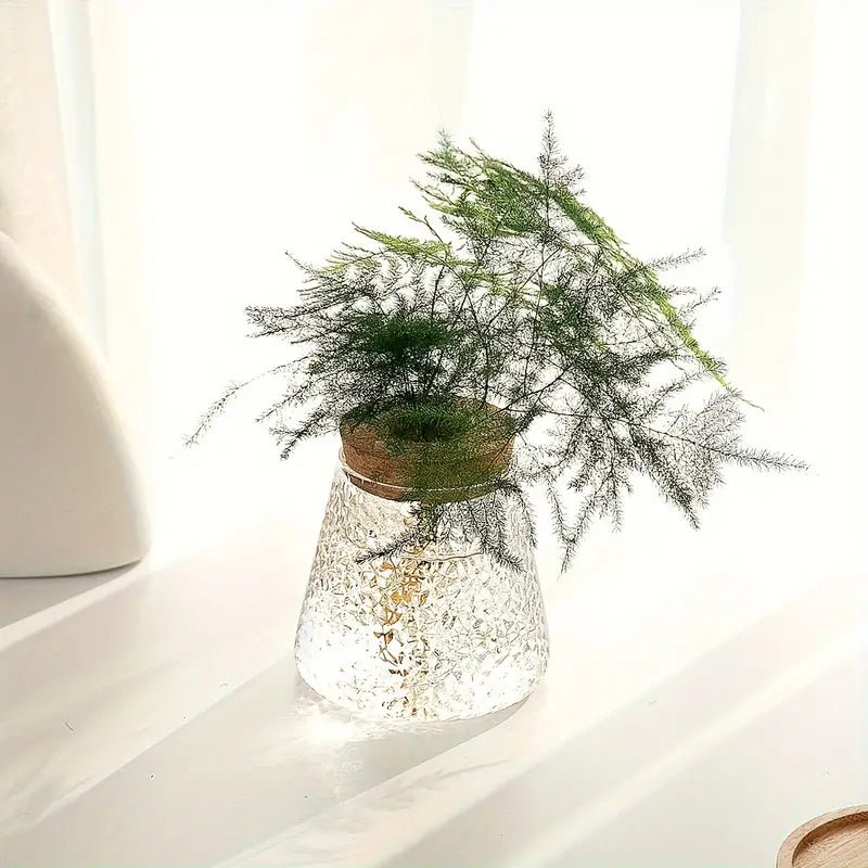 Floravia Glas - Anzuchtgefäß – Natürliche Eleganz für Pflanzenliebhaber - Bolania