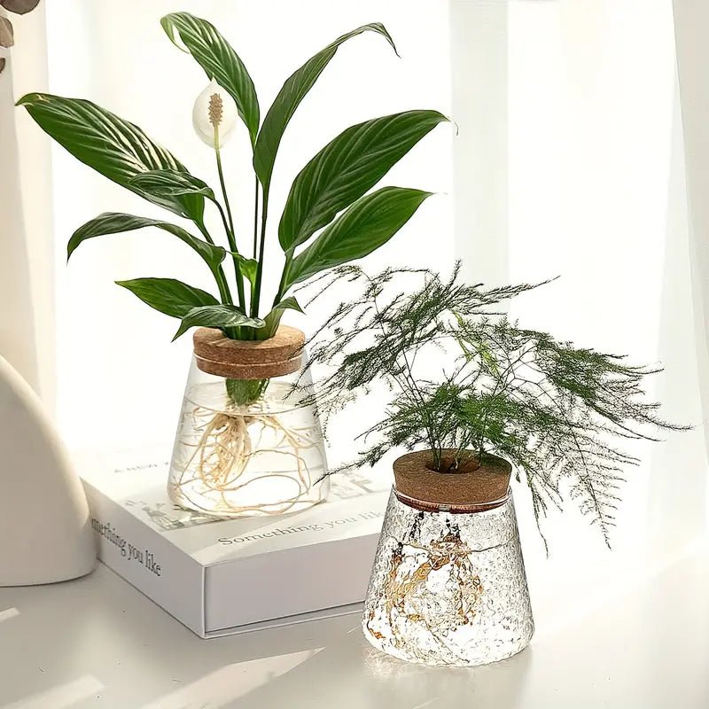 Floravia Glas - Anzuchtgefäß – Natürliche Eleganz für Pflanzenliebhaber - Bolania