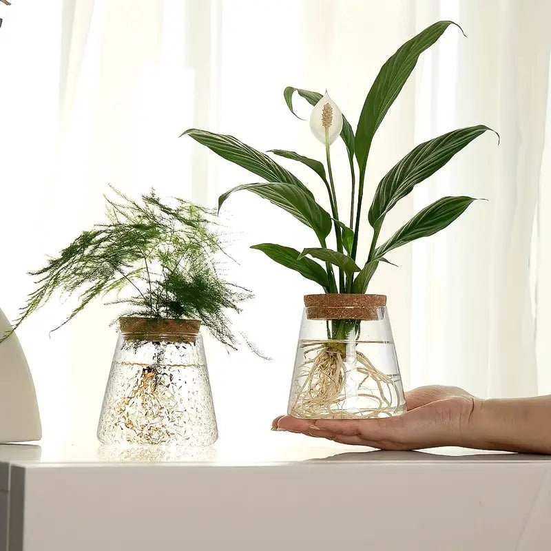Floravia Glas - Anzuchtgefäß – Natürliche Eleganz für Pflanzenliebhaber - Bolania