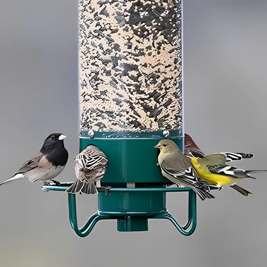 Eichhörnchen-Sicherer Vogel-Futterspender mit Gewichts-Mechanismus 4 Futter-Ports Metall und Polycarbonat zum Aufhängen