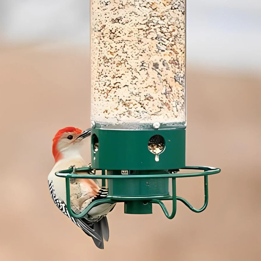Eichhörnchen-Sicherer Vogel-Futterspender mit Gewichts-Mechanismus 4 Futter-Ports Metall und Polycarbonat zum Aufhängen