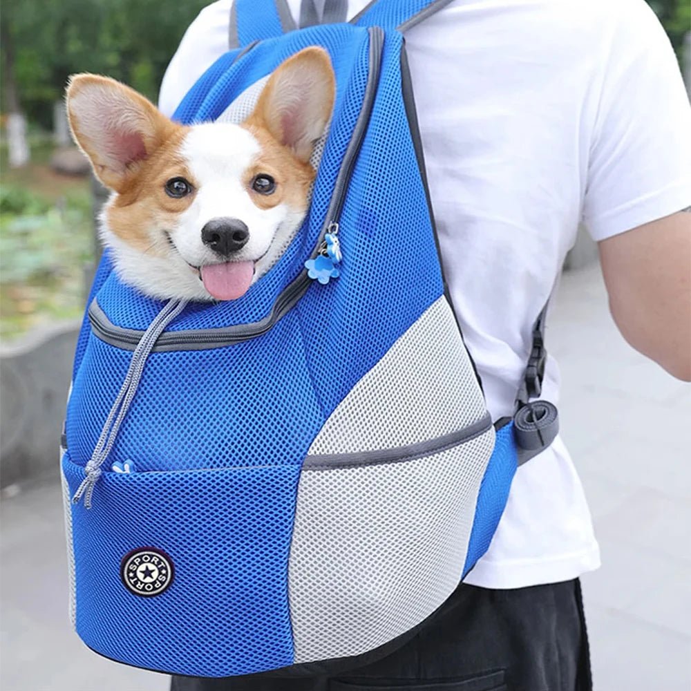 Pet Carrier Backpack Made of Breathable Mesh with Adjustable Straps and Safety Clip for Dogs and Cats