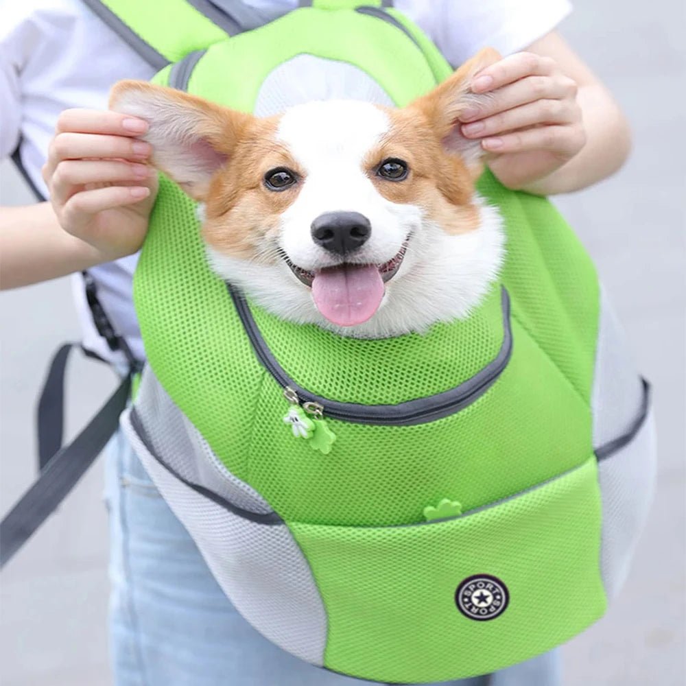 Pet Carrier Backpack Made of Breathable Mesh with Adjustable Straps and Safety Clip for Dogs and Cats