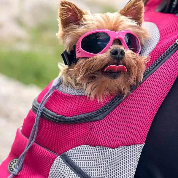 Pet Carrier Backpack Made of Breathable Mesh with Adjustable Straps and Safety Clip for Dogs and Cats