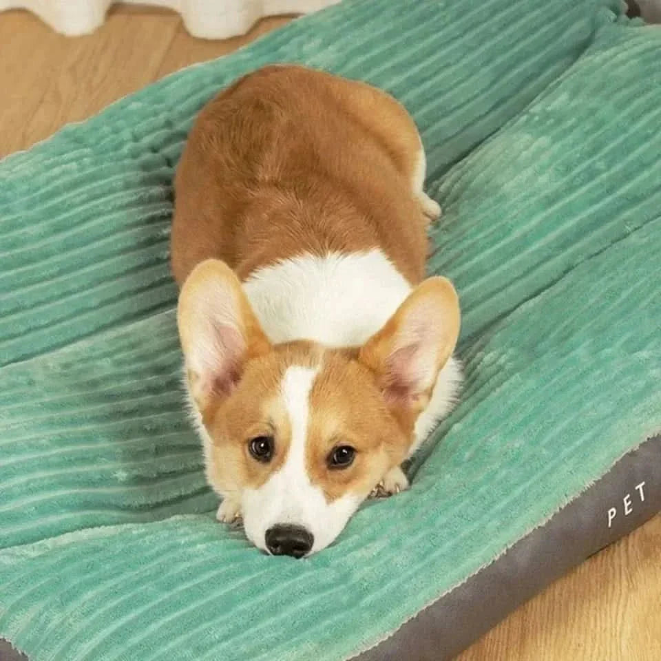Dog Bed with Soft Padding and Supportive Core for Puppies, Adult Dogs, and Senior Dogs - Cuddly Sleeping Place