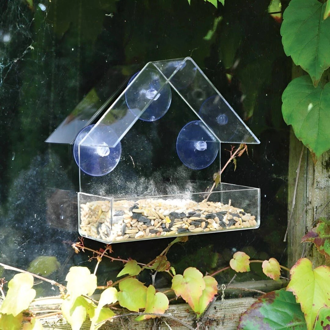 Window Bird Feeder, Clear Acrylic with Suction Cups, Tool-Free Installation for Gardens and Balcony Windows