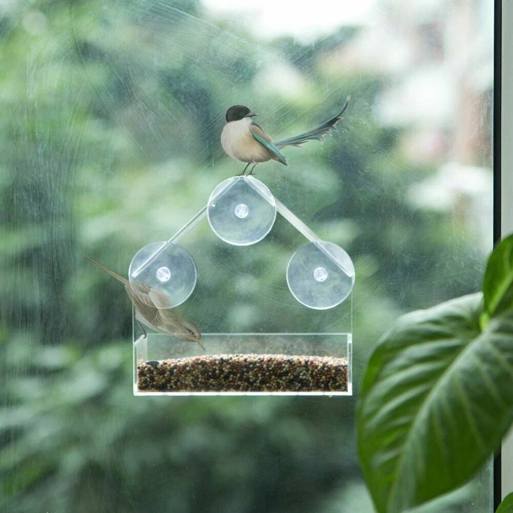 Window Bird Feeder, Clear Acrylic with Suction Cups, Tool-Free Installation for Gardens and Balcony Windows