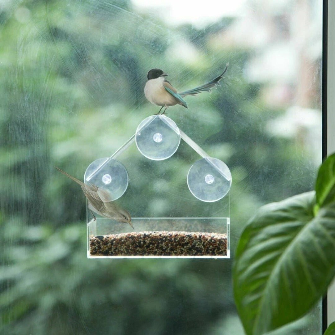 Window Bird Feeder, Clear Acrylic with Suction Cups, Tool-Free Installation for Gardens and Balcony Windows