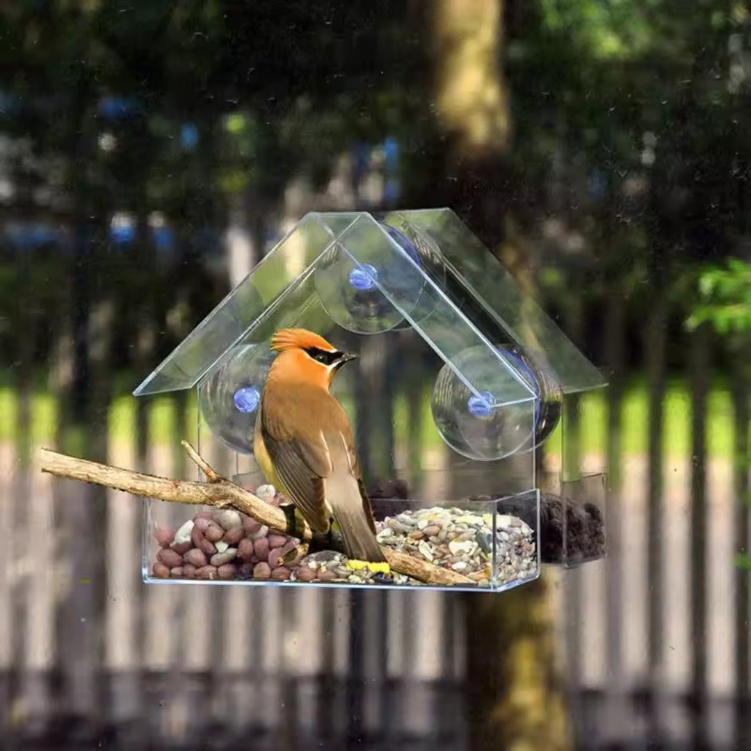 Window Bird Feeder, Clear Acrylic with Suction Cups, Tool-Free Installation for Gardens and Balcony Windows