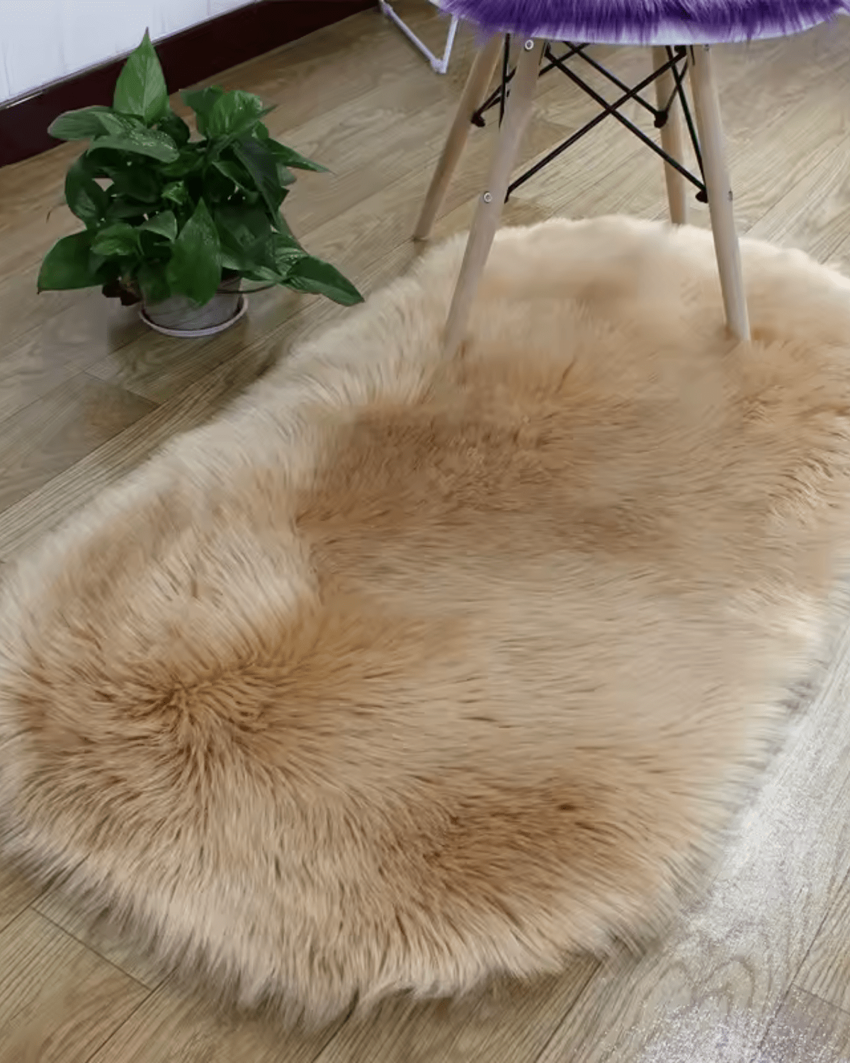 Veloura Teppich – Samtig - Weicher Luxus für Ihr Zuhause - Bolania