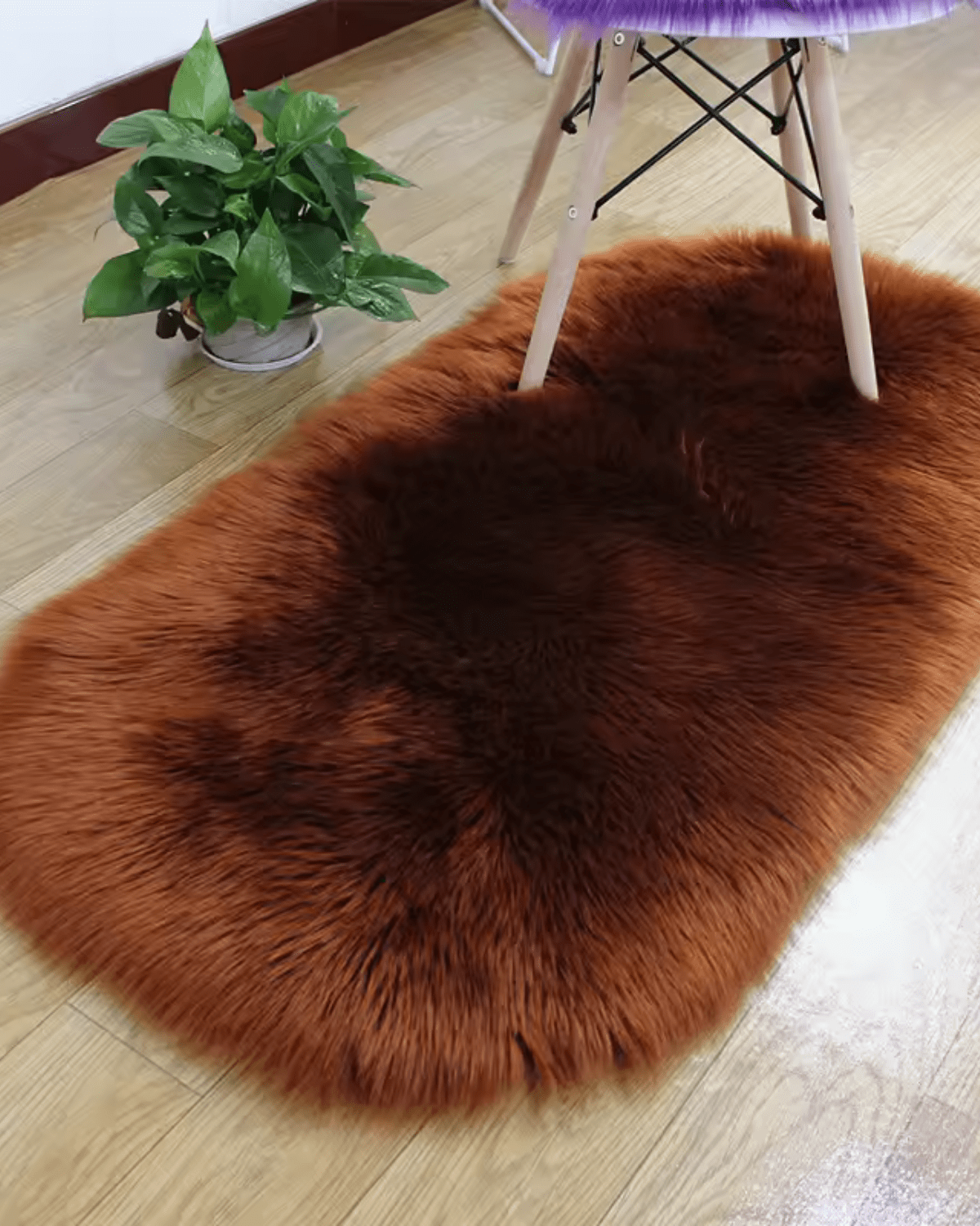 Veloura Teppich – Samtig - Weicher Luxus für Ihr Zuhause - Bolania